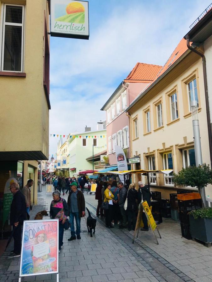 Boutique-Ferienwohnung Im Alten Weinhaus Moser Grünstadt Екстериор снимка